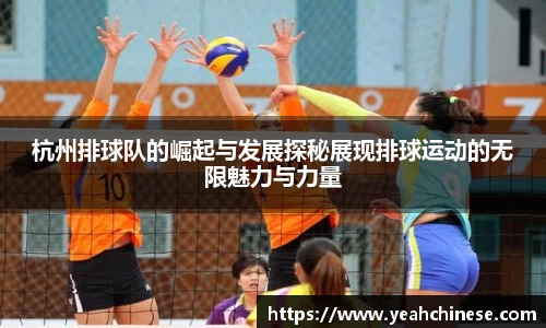 bellbet贝博官网