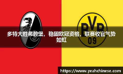 多特大胜弗赖堡，稳固欧冠资格，联赛收官气势如虹