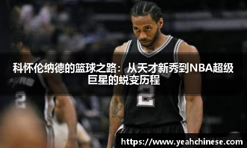 bellbet贝博官网