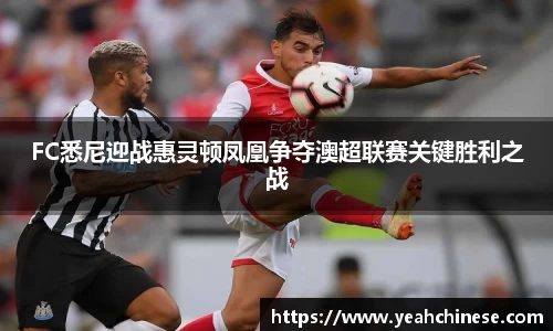 bellbet贝博官网